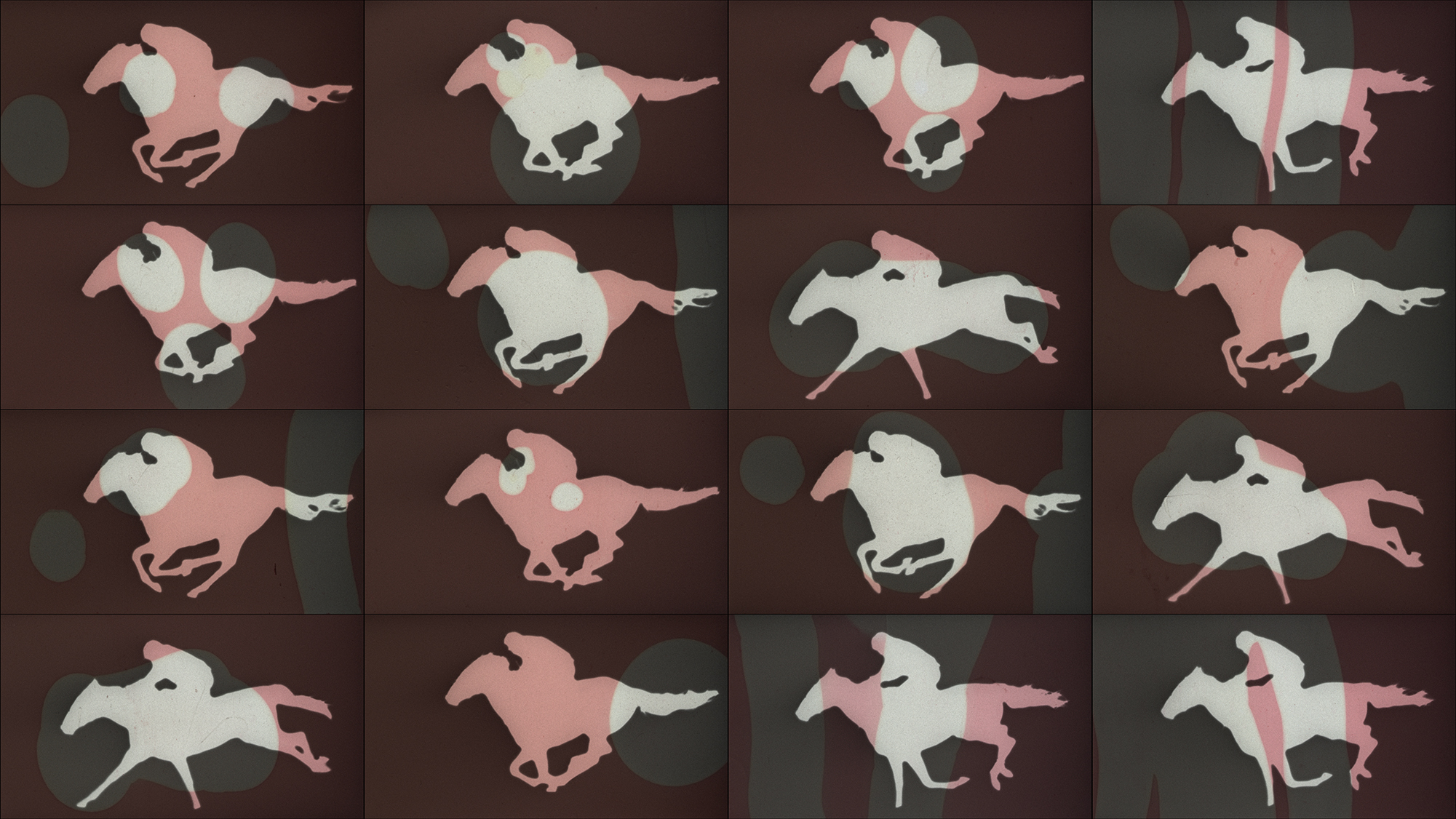 Masked Horses